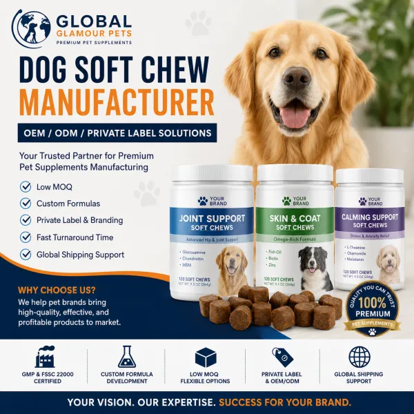 Dog Soft Chew Manufacturer: Complete OEM Guide